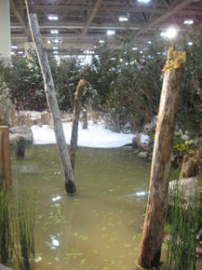 wetland-garden